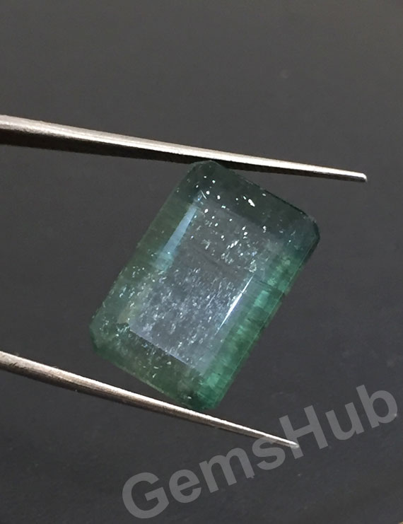 15.46 ct/17.25 ratti Natural Certified Zambian Panna (Emerald)