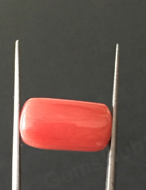 12.25 ratti (10.90 ct)  Natural Certified Moonga/Coral