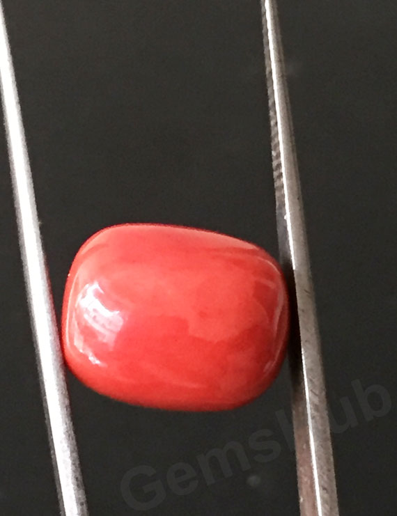 13.50 ratti (12.24 ct) Natural Certified Moonga/Coral