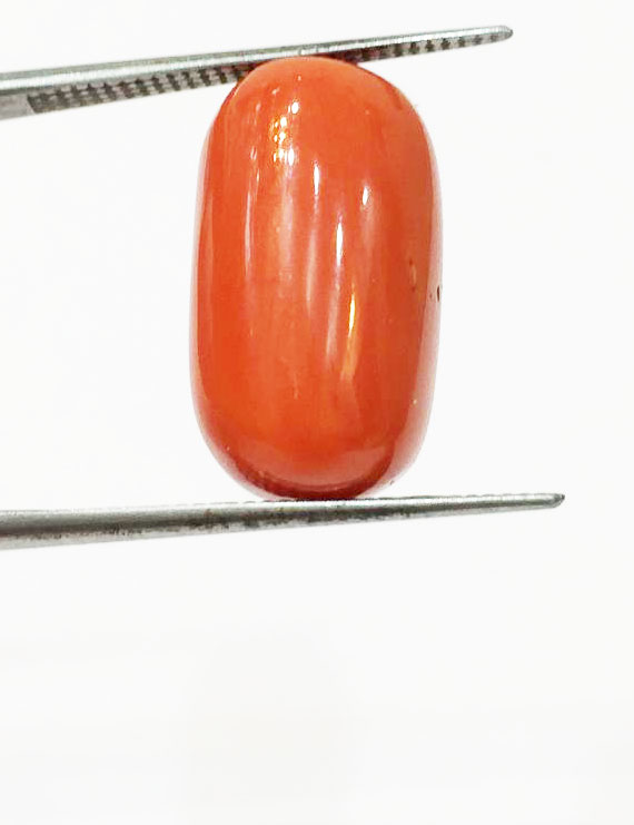 14.25 ratti Natural Certified Moonga/Coral