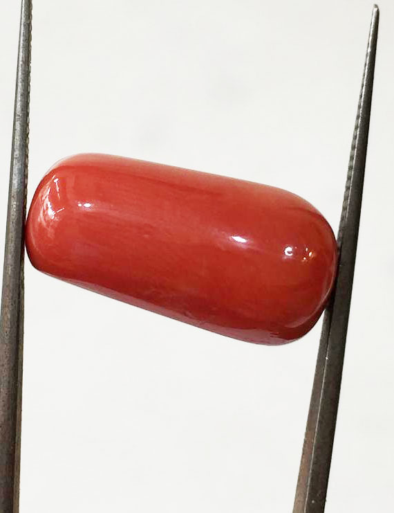 15.53 ratti (13.98 ct ) Natural Certified Moonga/Coral