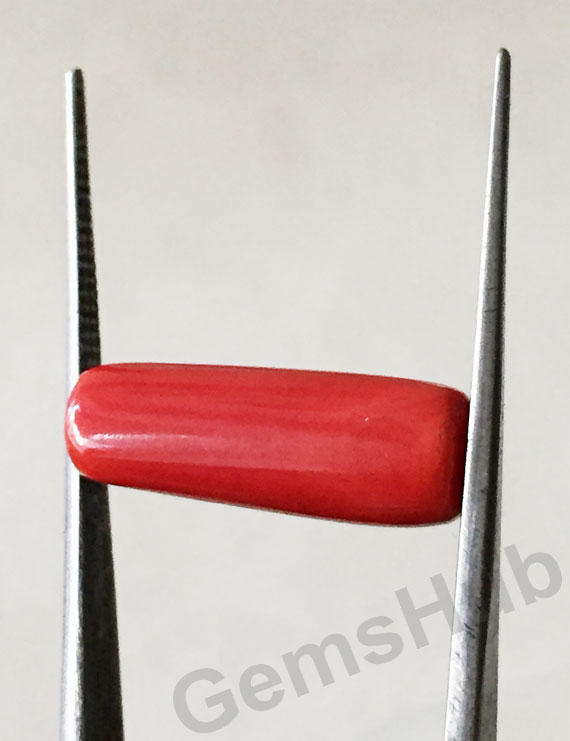 7.25 ratti (6.46ct) Natural Certified Moonga/Coral