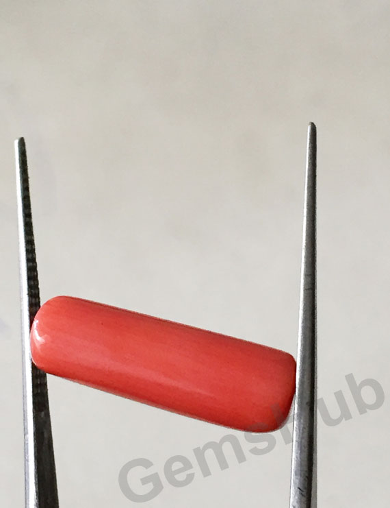 7.33 ratti (6.60ct) Natural Certified Moonga/Coral