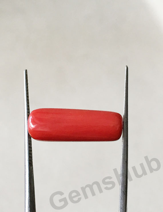 7.55 ratti (6.82ct) Natural Certified Moonga/Coral