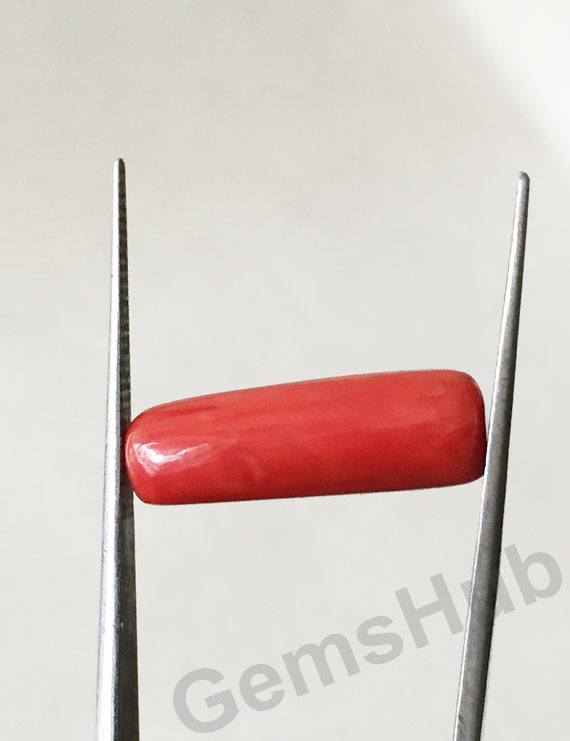 7.92 ratti (7.12 ct) Natural Certified Moonga/Coral