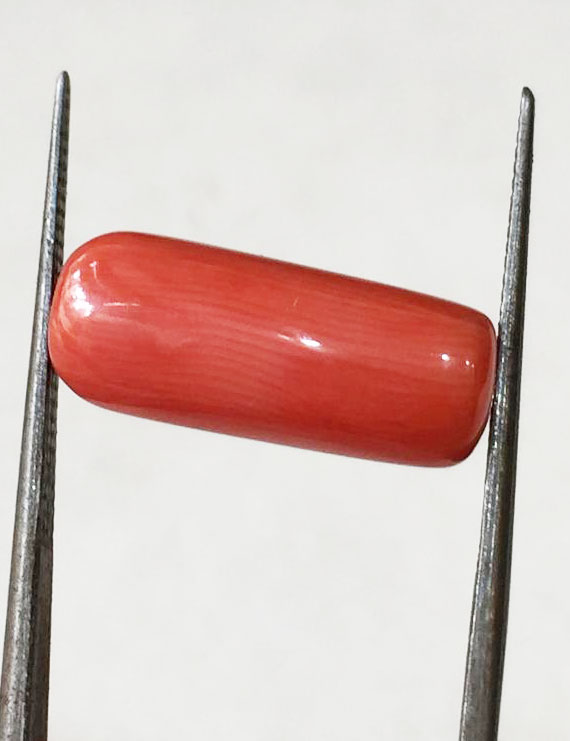 8.25 ratti (7.39 ct) Natural Certified Moonga/Coral