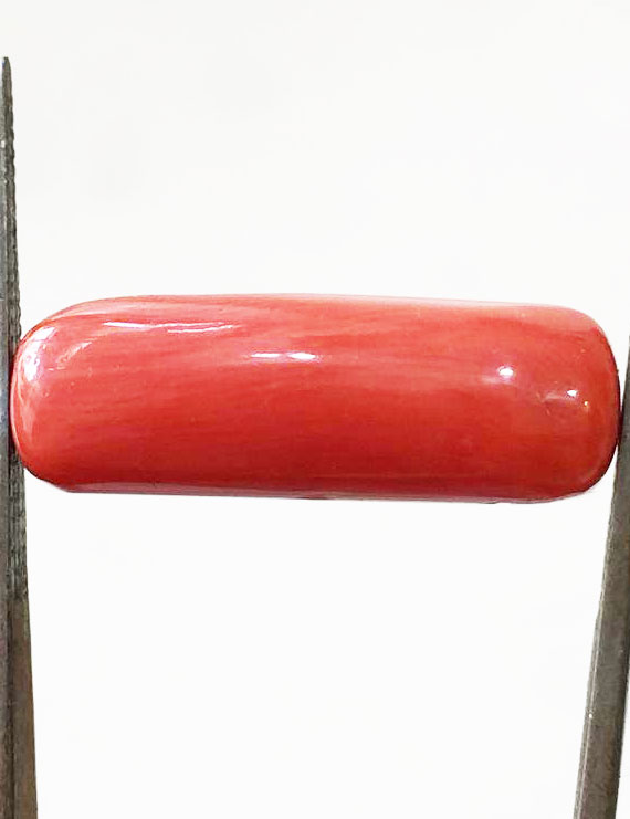 10.08 ratti (9.08 ct) Natural Certified Moonga/Coral