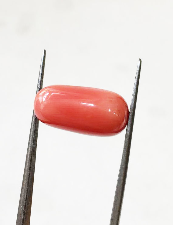 10.25 ratti (9.10 ct) Natural Certified Moonga/Coral