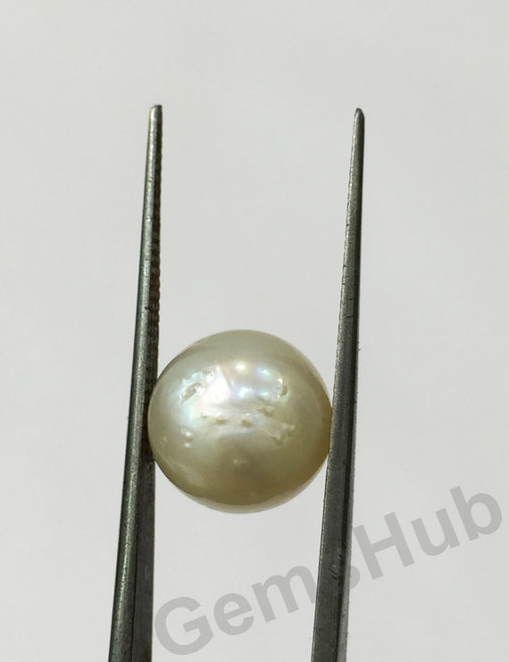 South Sea Pearl - 6.95 ct (7.50 ratti)