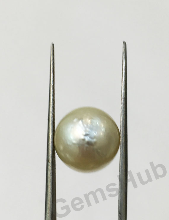 South Sea Pearl - 9.29 ct (10.25 ratti)