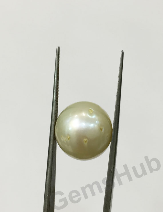 South Sea Pearl - 12.64 ct (14.00 ratti)