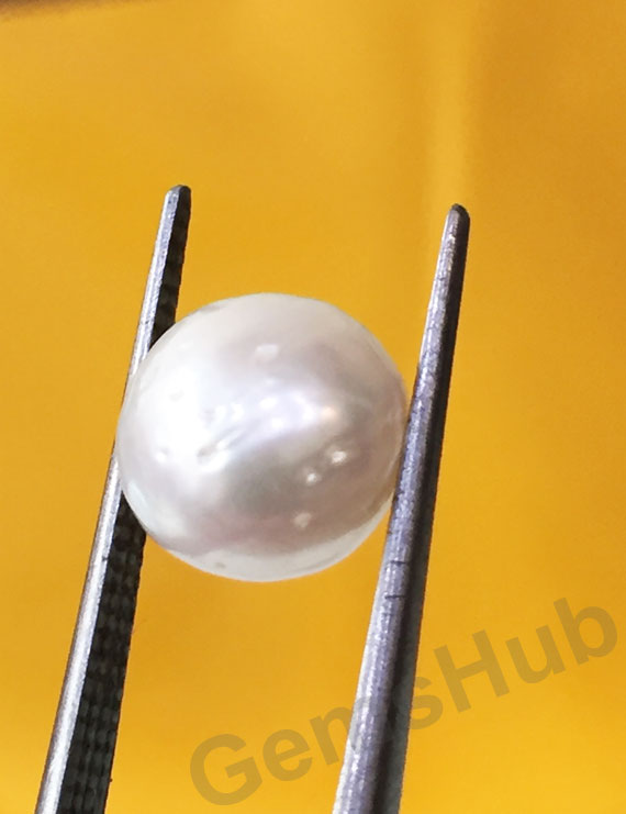 South Sea Pearl - 4.03 ct (4.50 ratti)