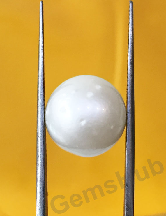 South Sea Pearl - 13.25 ct (14.60 ratti)