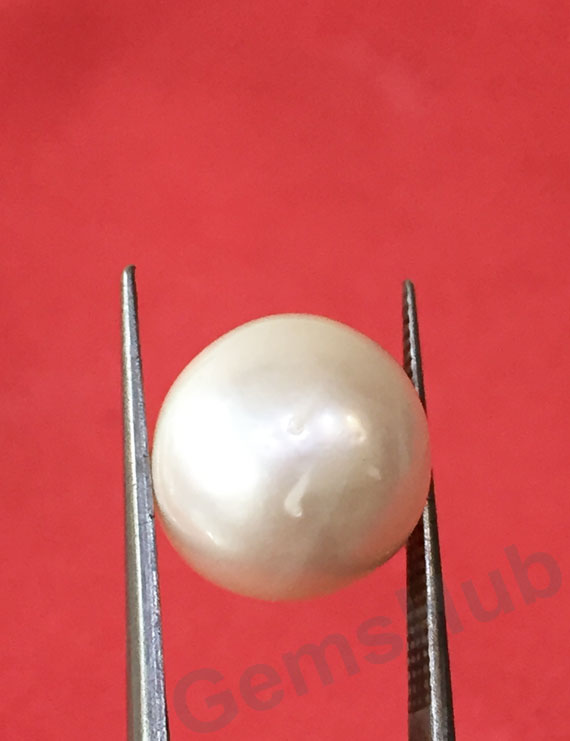 South Sea Pearl - 13.03 ct (14.50 ratti)