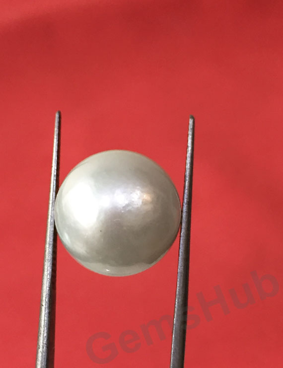 South Sea Pearl - 16.56 ct (18.50 ratti)