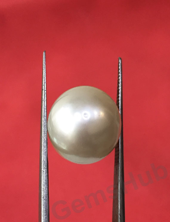 South Sea Pearl - 16.86 ct (18.60 ratti)