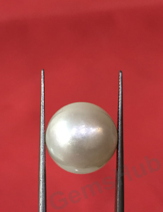 South Sea Pearl - 17.33 ct (19.25 ratti)