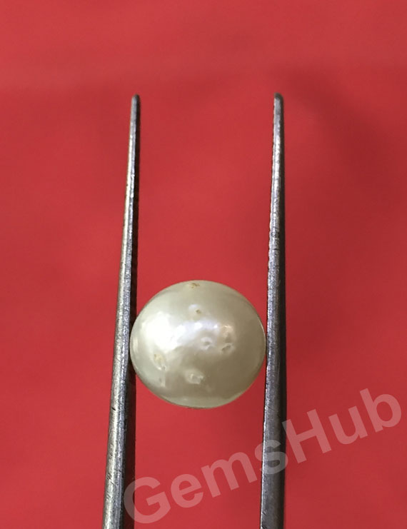 South Sea Pearl - 3.98 ct (4.50 ratti)