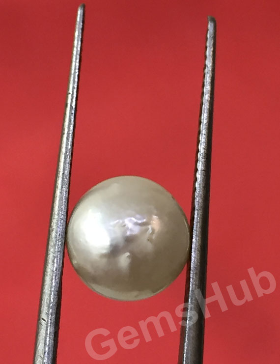 South Sea Pearl - 3.44 ct (3.82 ratti)