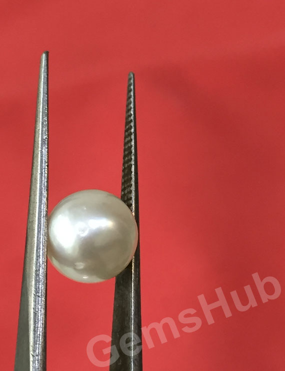 South Sea Pearl - 3.85 ct (4.25 ratti)