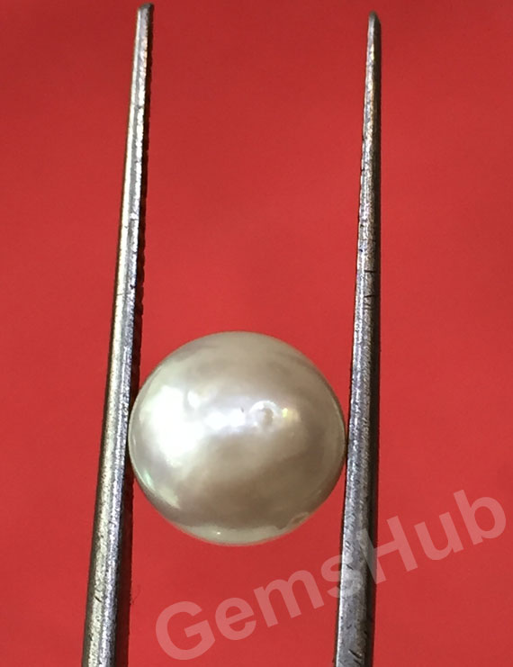 South Sea Pearl - 3.45 ct (3.83 ratti)